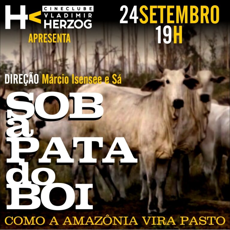 Cineclube Vladimir Herzog apresenta “Sob a Pata do Boi” e debate o retrocesso ambiental no Brasil