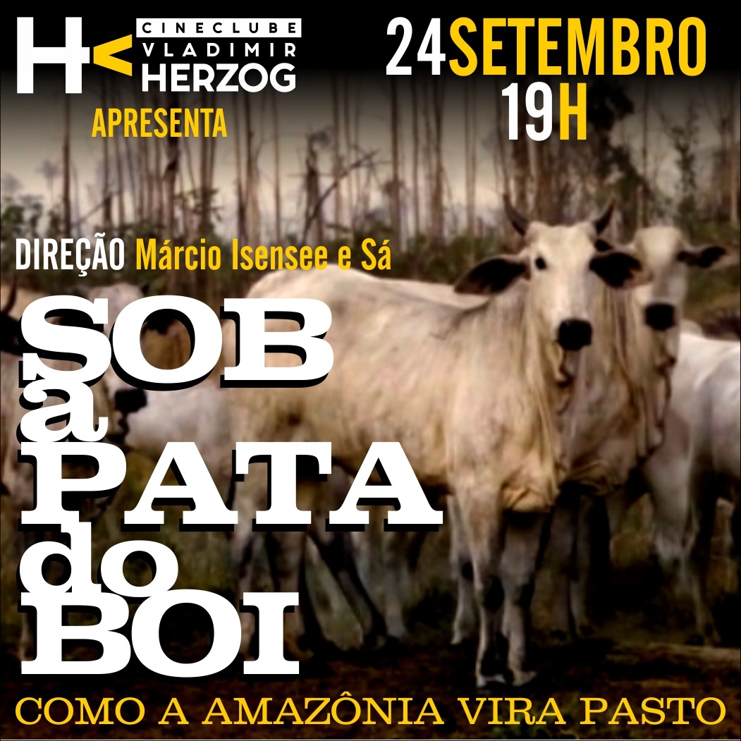 Cineclube Vladimir Herzog apresenta “Sob a Pata do Boi” e debate o retrocesso ambiental no Brasil