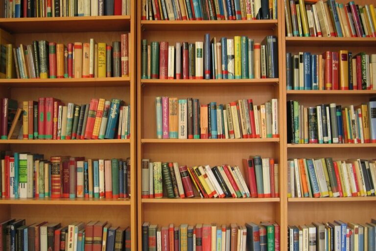 Dicas para explorar o mundo da leitura de graça em São Paulo