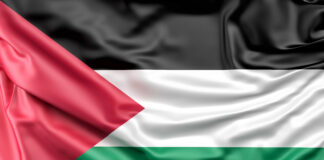 Pelo imediato cessar-fogo e pela paz: nota de solidariedade ao povo palestino