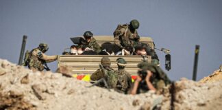 DOSSIÊ GENOCÍDIO EM GAZA – Edição de 15 de fevereiro