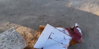 DOSSIÊ GENOCÍDIO EM GAZA – Edição de 5 de março