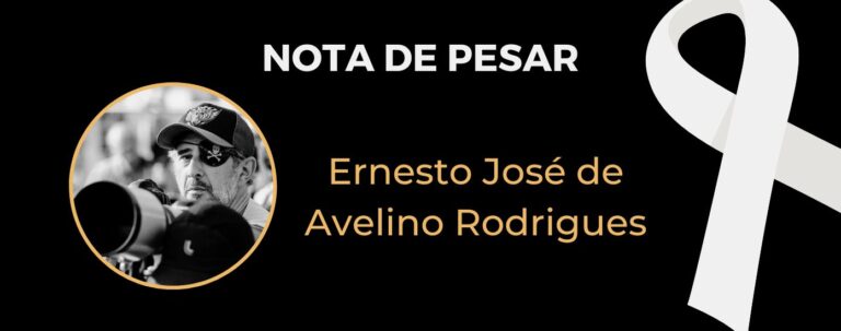 Ernesto José de Avelino Rodrigues
