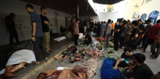 Mais dois jornalistas assassinados por Israel, totalizando 124 segundo a FIJ; vítimas fatais em Gaza já superam 40 mil palestinos(as), e 70% são mulheres e crianças