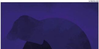 Quando jornalistas mulheres enfrentam agressões e ódio no ambiente virtual