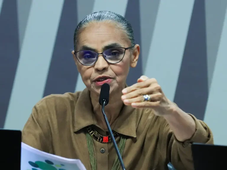 Comissão de Infraestrutura (CI) do Senado durante audiência para ouvir a ministra do Meio Ambiente e Mudança do Clima, Marina Silva. Foto: Lula Marques/Agência Brasil
