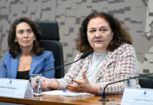 Lei do “multimídia” sobrepõe 54 ocupações e ameaça direitos de 500 mil trabalhadores da comunicação Subsecretária de Estatísticas e Estudos do MTE, Paula Montagner (direita), em audiência no CCS. Foto: Andressa Anholete/Agência Senado