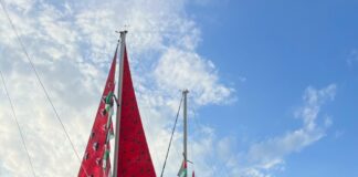 Pressão internacional obrigou Israel a libertar todas as tripulações da Global Sumud Flotilha, que chegaram a Istambul nesta quinta, 21 Beatriz Moreira de Oliveira, militante do Movimento dos Atingidos por Barragens (MAB) que havia sido sequestrada pela Marinha de Israel (foto: arquivo pessoal)